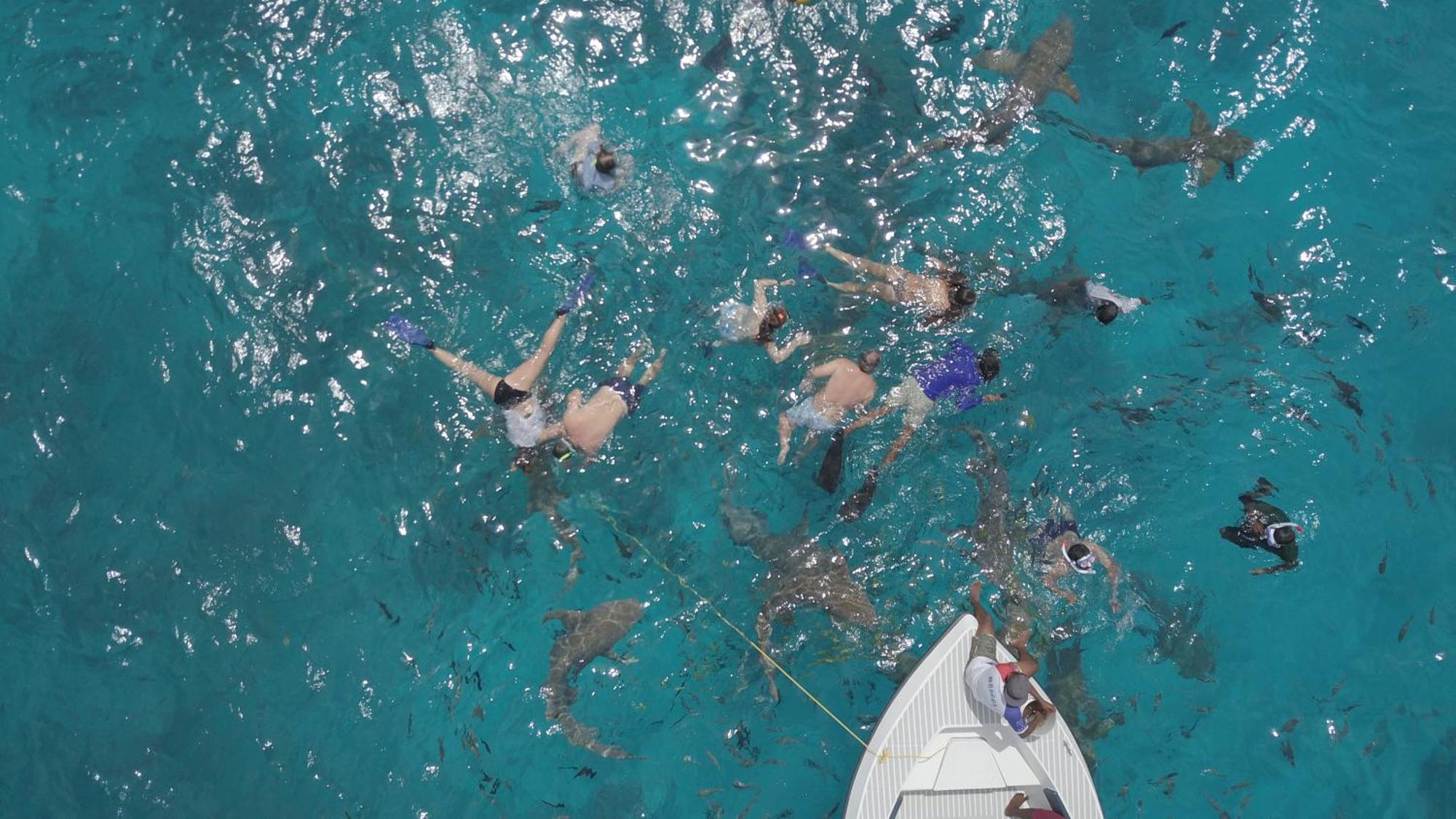 Ocean Pearl Maldives At Gulhi Island Hotel Luaran gambar